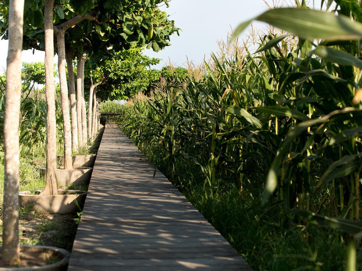 Sanur Residence Dış mekan fotoğraf